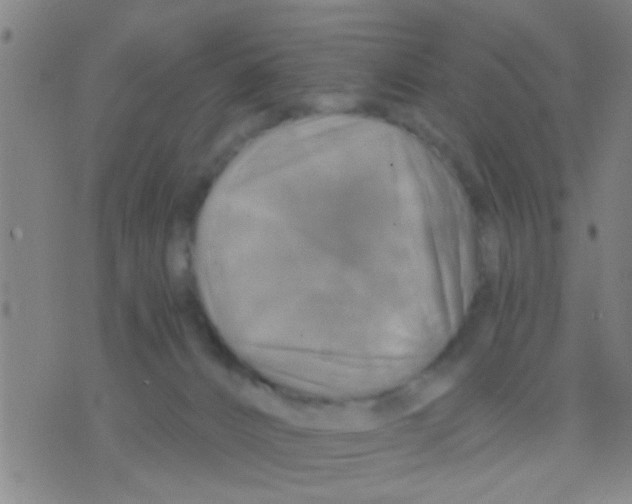 X0000075900032200610151827