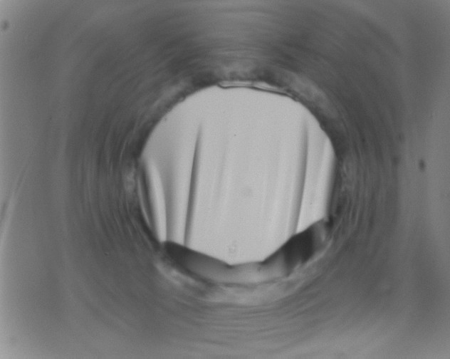 X0000075900033200610151827