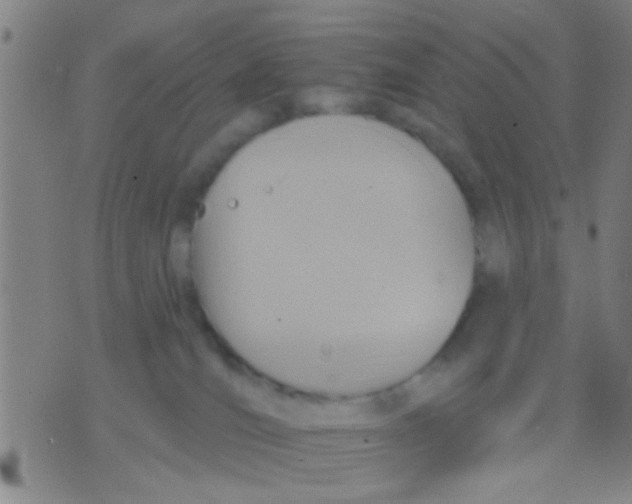 X0000075900036200610151827