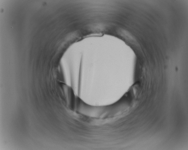 X0000075900037200610151827