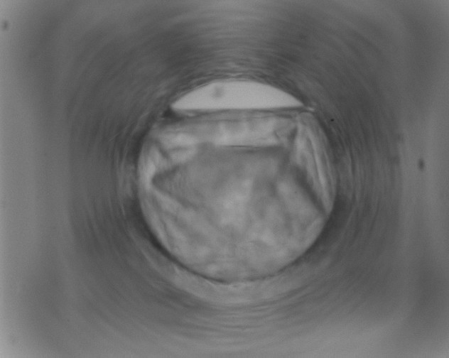 X0000075900038200610151827