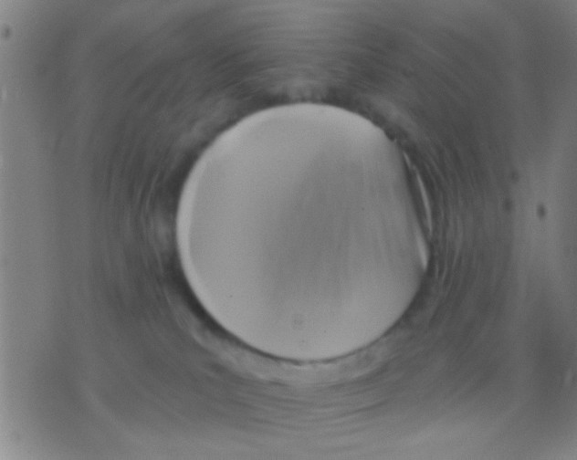 X0000075900039200610151827