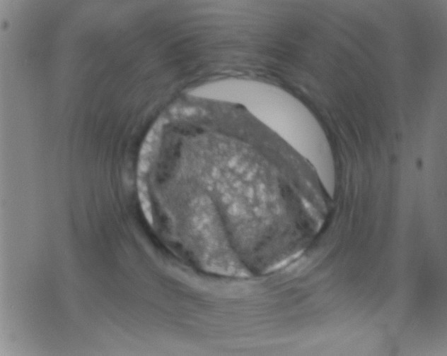 X0000075900040200610151827