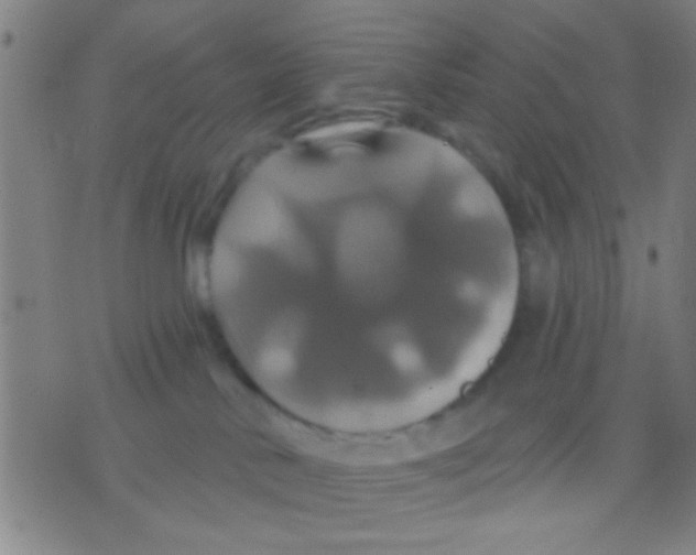 X0000075900042200610151827