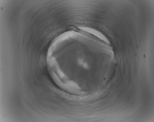 X0000075900043200610151827