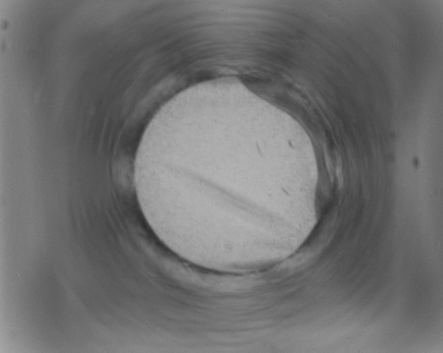 X0000075900044200610151827