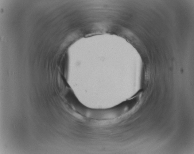 X0000075900045200610151827