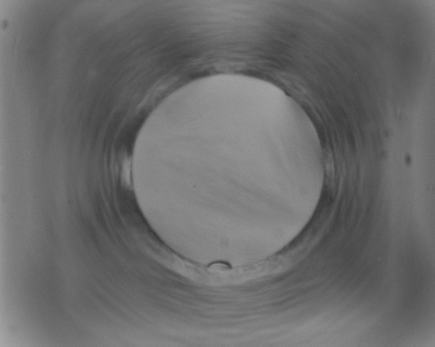 X0000075900046200610151827