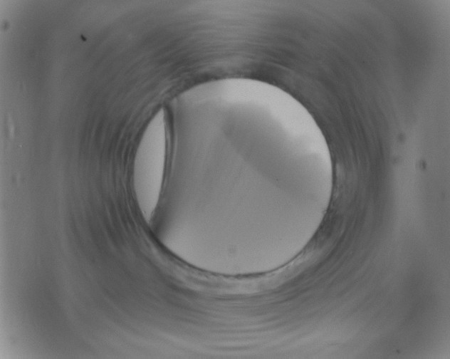 X0000075900048200610151827