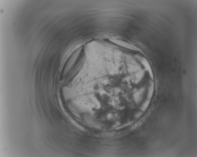 X0000075900049200610151826