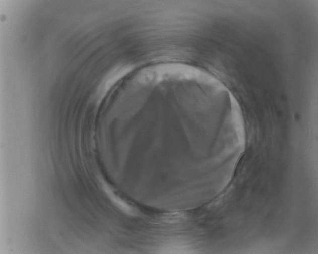 X0000075900050200610151826