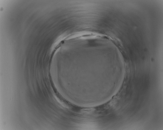 X0000075900051200610151826