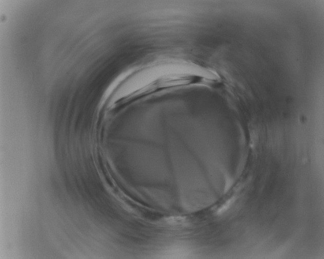 X0000075900052200610151826