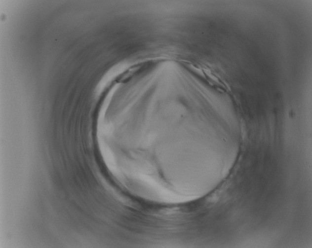 X0000075900054200610151826