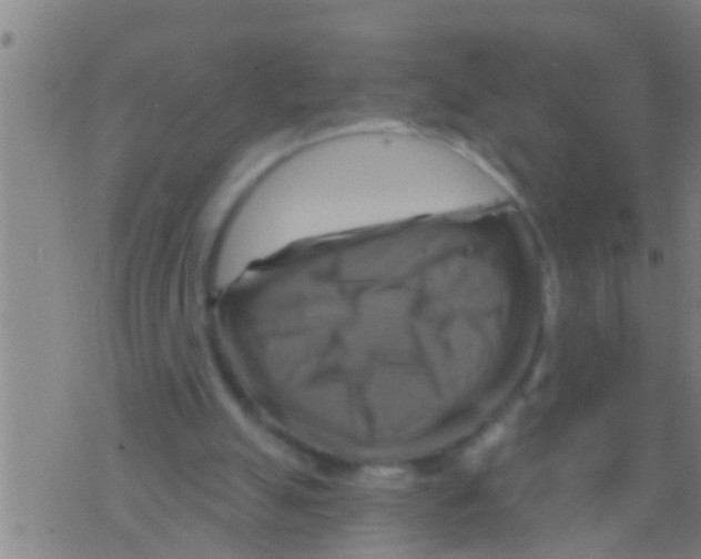 X0000075900055200610151826