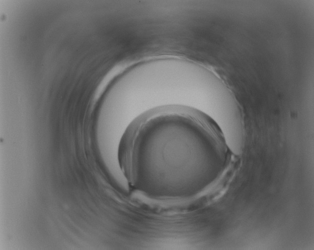 X0000075900056200610151826