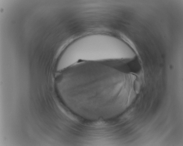 X0000075900059200610151826