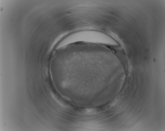 X0000075900060200610151826