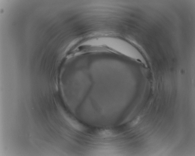 X0000075900062200610151826