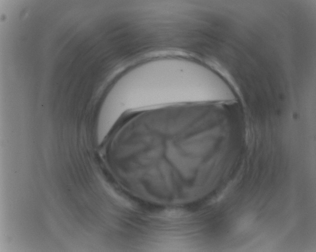 X0000075900063200610151826