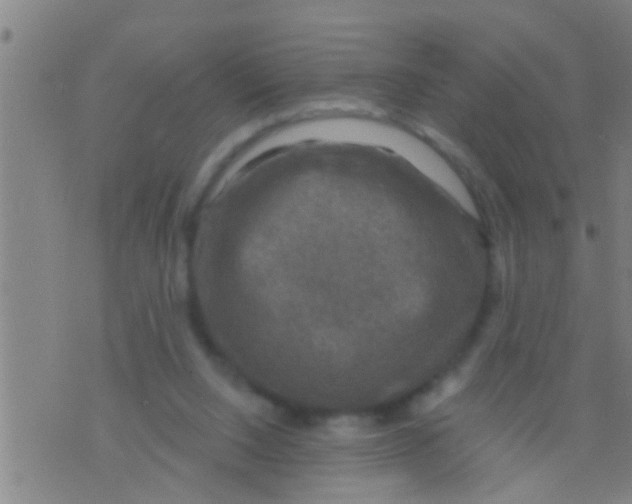 X0000075900064200610151826