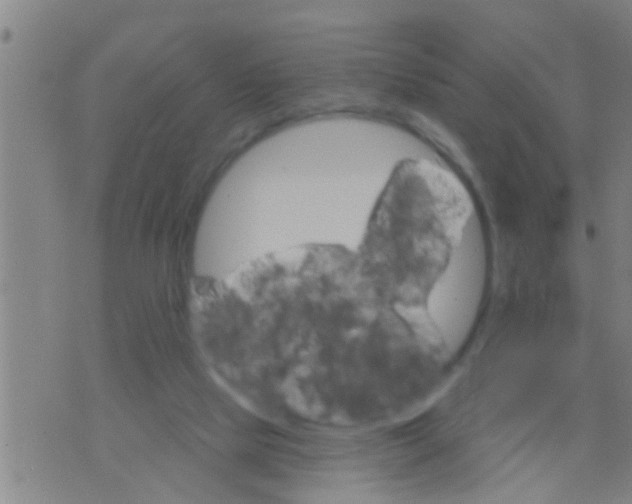 X0000075900065200610151826