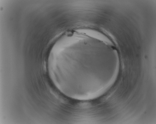 X0000075900067200610151826