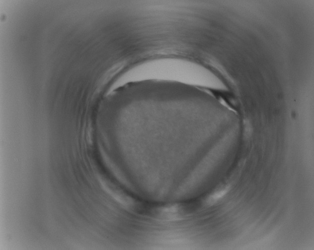 X0000075900068200610151826