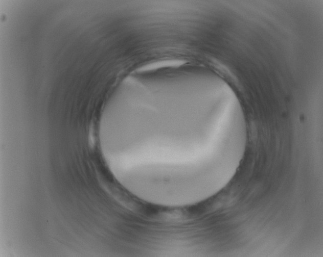 X0000075900069200610151826