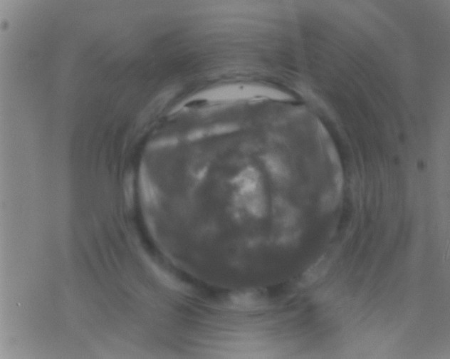 X0000075900070200610151826