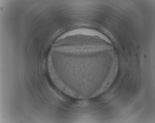 X0000075900071200610151826