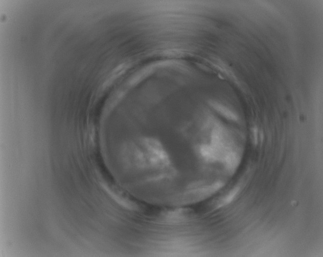 X0000075900072200610151826