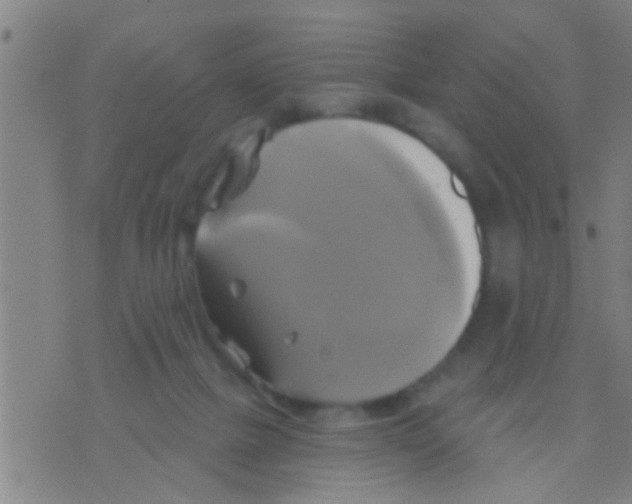 X0000075900073200610151827