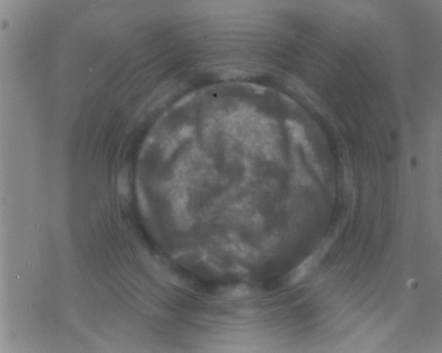 X0000075900074200610151827