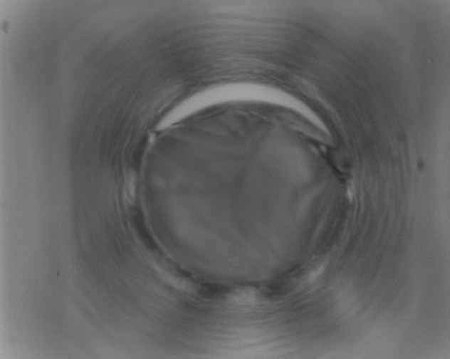 X0000075900076200610151827