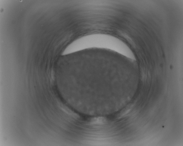 X0000075900077200610151827