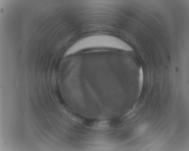 X0000075900078200610151827