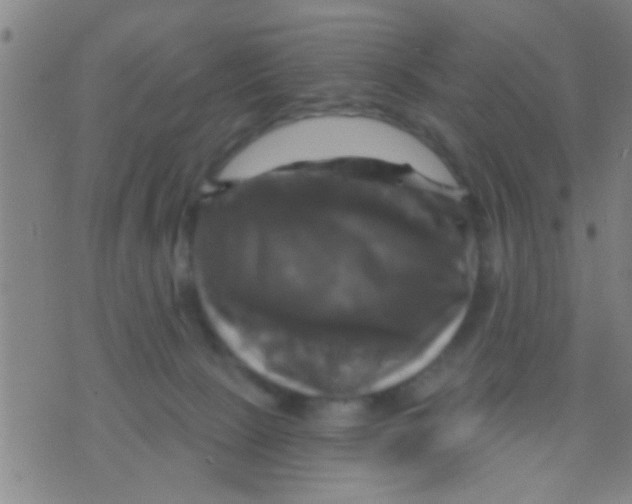 X0000075900081200610151827