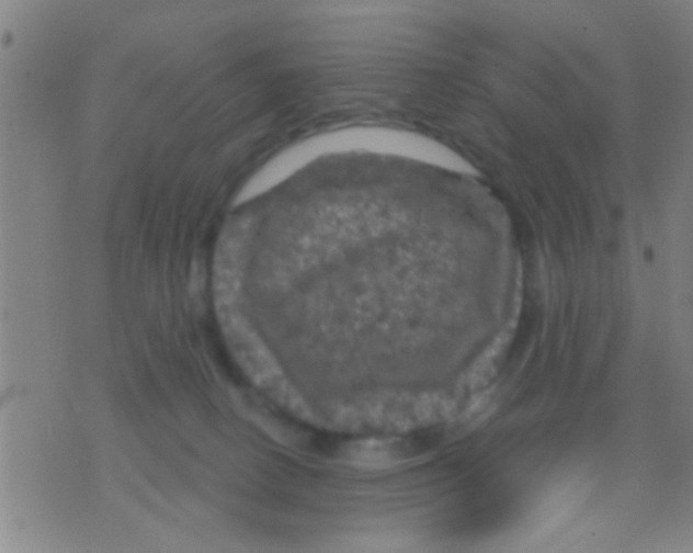 X0000075900082200610151827