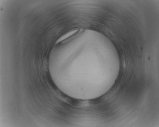 X0000075900083200610151827