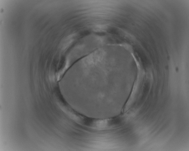 X0000075900084200610151827