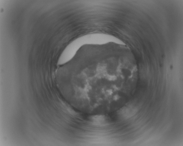 X0000075900085200610151827