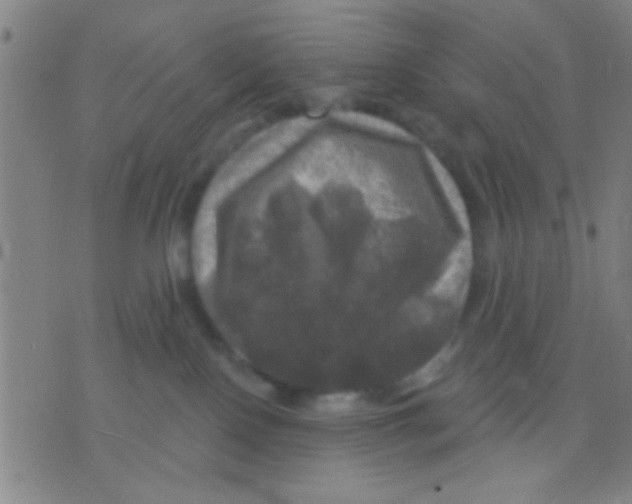 X0000075900090200610151827