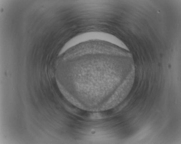 X0000075900091200610151827