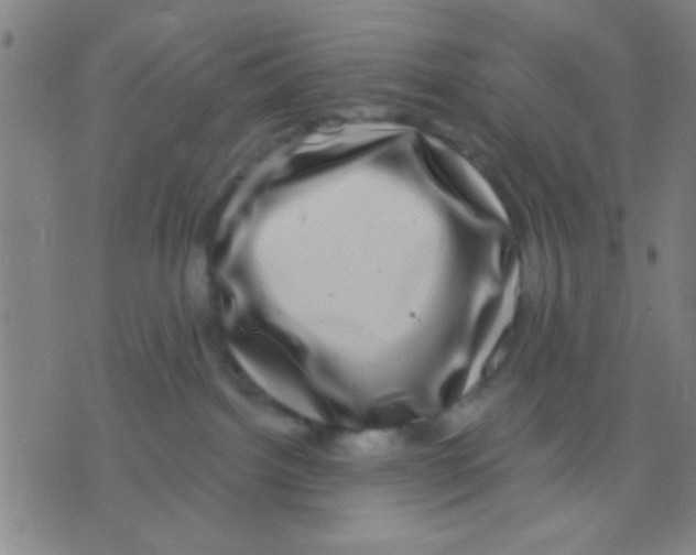 X0000075900092200610151827