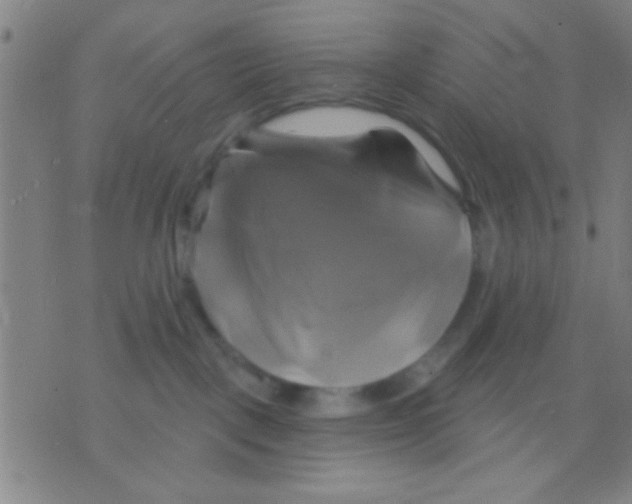 X0000075900093200610151827