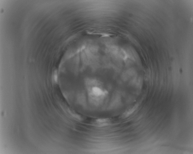 X0000075900095200610151827