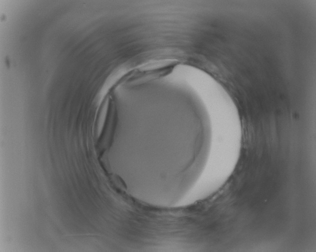 X0000075900099200610151826