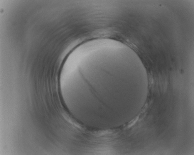 X0000075900100200610151826