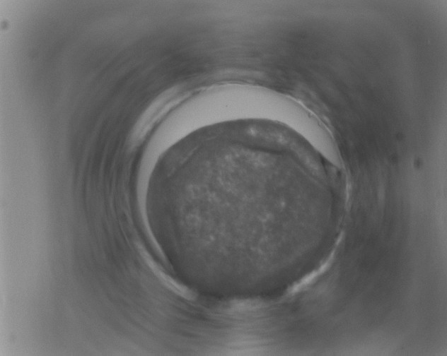 X0000075900101200610151826